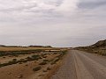 DSC04355