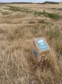 DSC04367