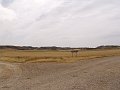 DSC04368