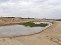 DSC04377