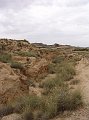 DSC04379