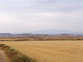 DSC04395