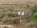 DSC04400