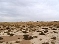 DSC04408
