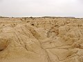 DSC04417