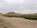 DSC04482