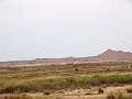 DSC04493