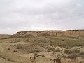 DSC04497