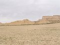 DSC04518