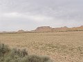 DSC04519
