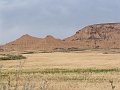 DSC04523