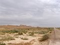 DSC04528