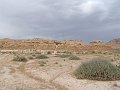 DSC04529