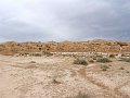 DSC04530