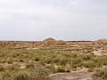 DSC04532
