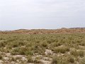 DSC04533