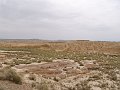 DSC04549