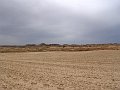 DSC04554
