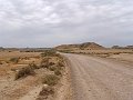 DSC04564