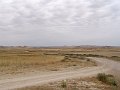 DSC04569