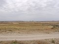DSC04570