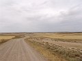 DSC04585