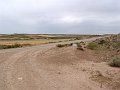 DSC04591