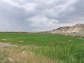 DSC05164