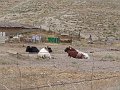 DSC05170