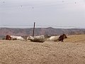 DSC05175