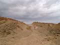 DSC05232