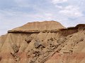 DSC05339