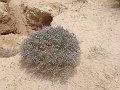DSC05358