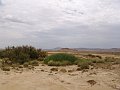 DSC05376
