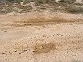 DSC05382