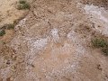 DSC05386