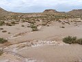 DSC05394
