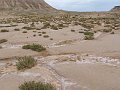 DSC05395