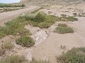 DSC05396