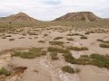 DSC05397