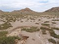 DSC05398