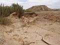 DSC05402