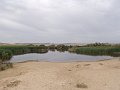 DSC05413