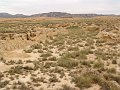 DSC05474