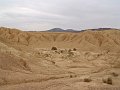 DSC05482