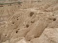 DSC05486