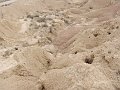 DSC05496