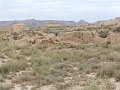 DSC05499