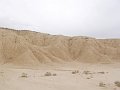 DSC05500