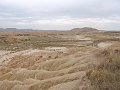DSC05506